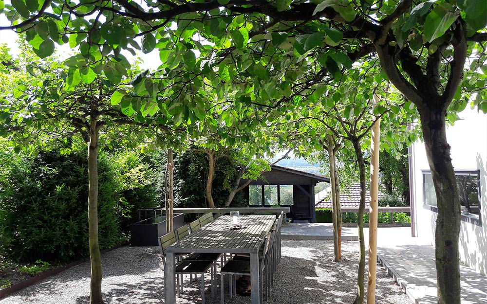 Baumpflanzung im Garten