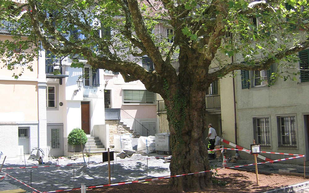 Baumschutz für den Baumwurzelbereich