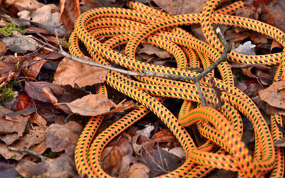 Baumpflege Kletterseil