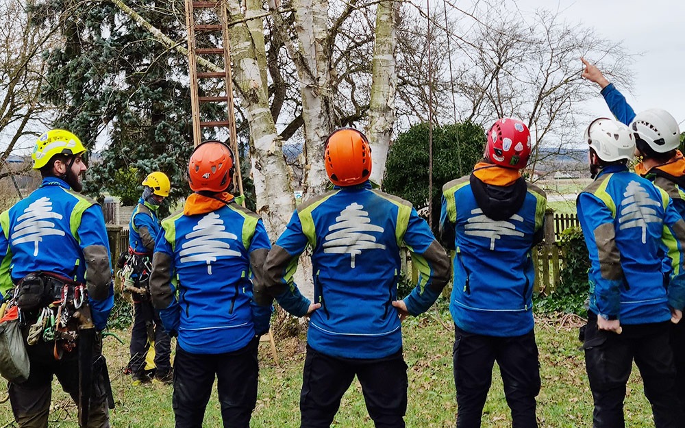 Baumpflegespezialisten Baumart bei der Rettungsübung