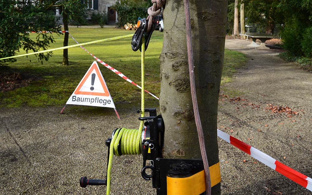Achtung Baumpflegearbeiten