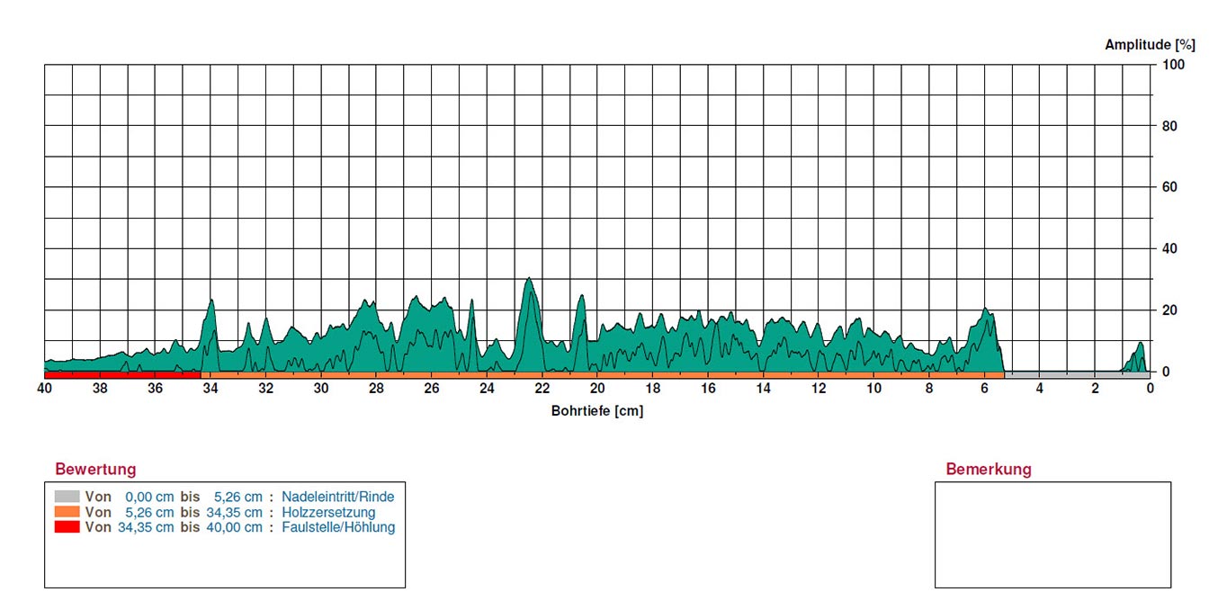 Messdaten Tilia tomentosa